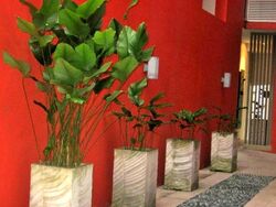 Residences At 338A (D9), Apartment #423545821